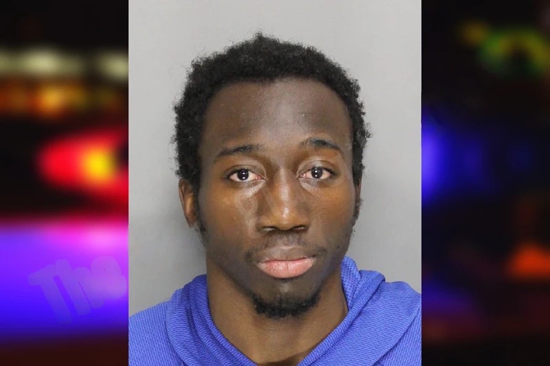 Rashan Alkins mugshot