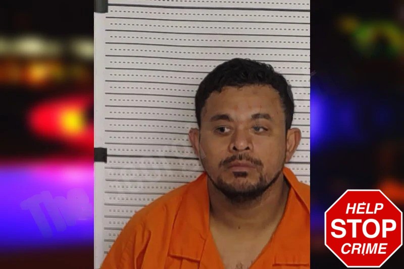 Raul Dubon Avila Mugshots