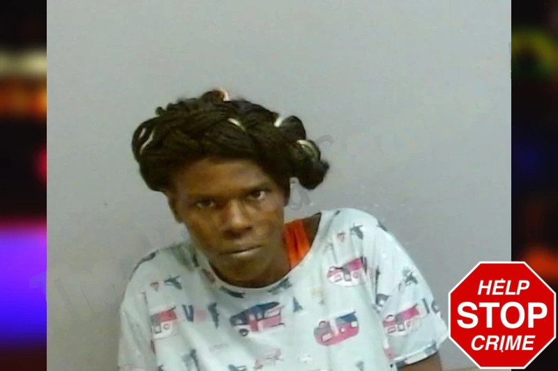 Rayiona Shaw Mugshots