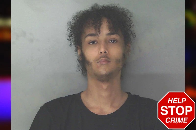 Raylon Tyson mugshot – Douglas County , Georgia Raylon Tyson mugshot