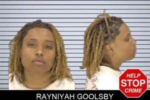 Rayniyah Goolsby mugshot