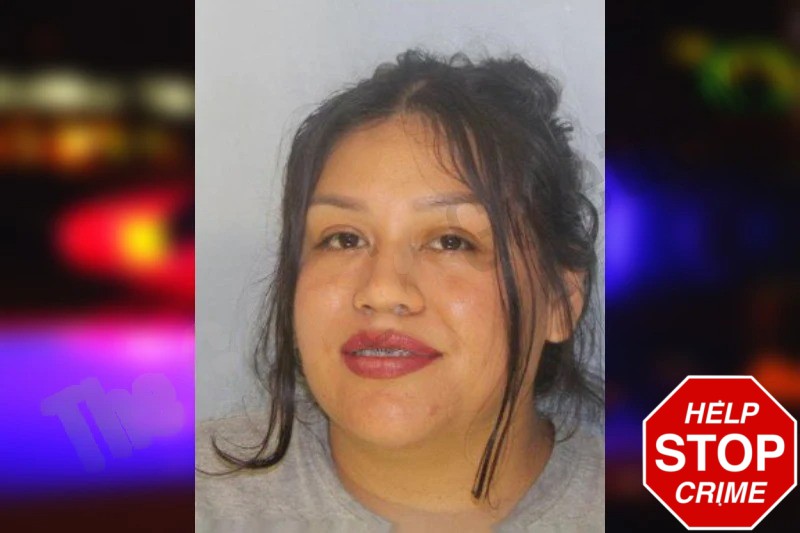 Rebeca Chavez mugshot