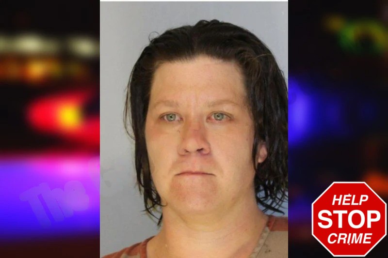 Rebecca Ervin Mugshots