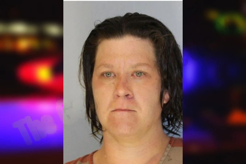 Rebecca Ervin Mugshots