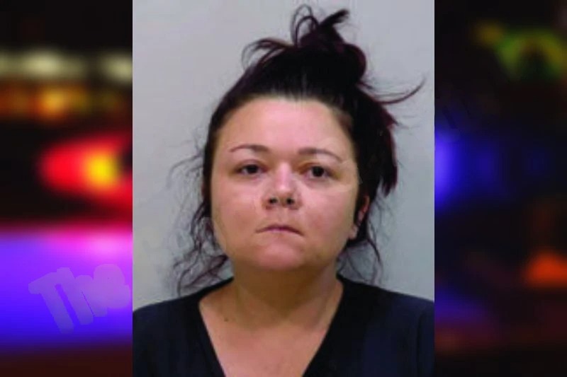 Rebecca Lloyd mugshot