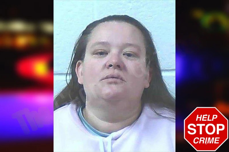 Rebecca Norton Mugshots