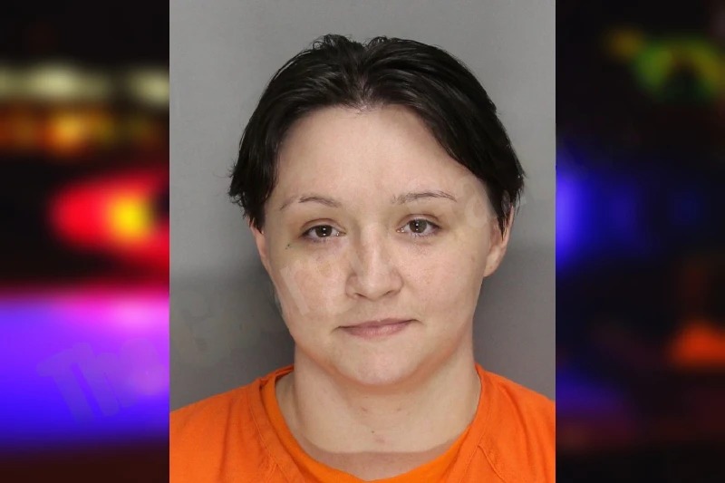 Rebecca Patterson mugshot