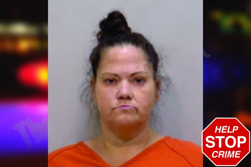 Rebecca Williams Mugshots