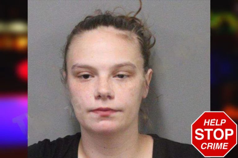 Rebekah Dayton mugshot – White County , Georgia Rebekah Dayton