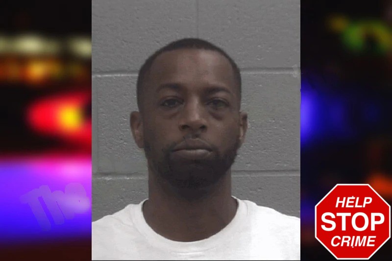 Reece Whitehead Mugshots