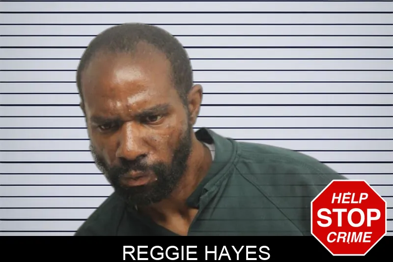 Reggie Hayes Mugshots