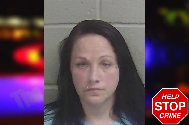 Regina Heath mugshot – Wayne County , Georgia Regina Heath mugshot