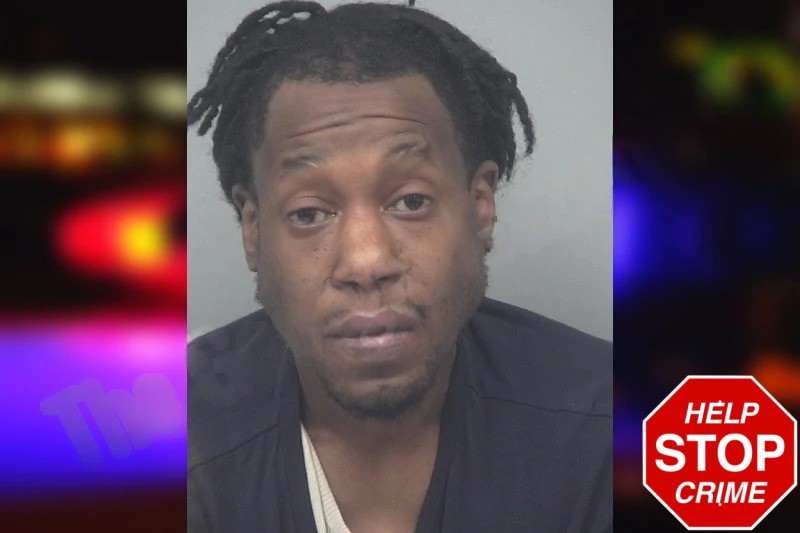 Rene Winslow Mugshots