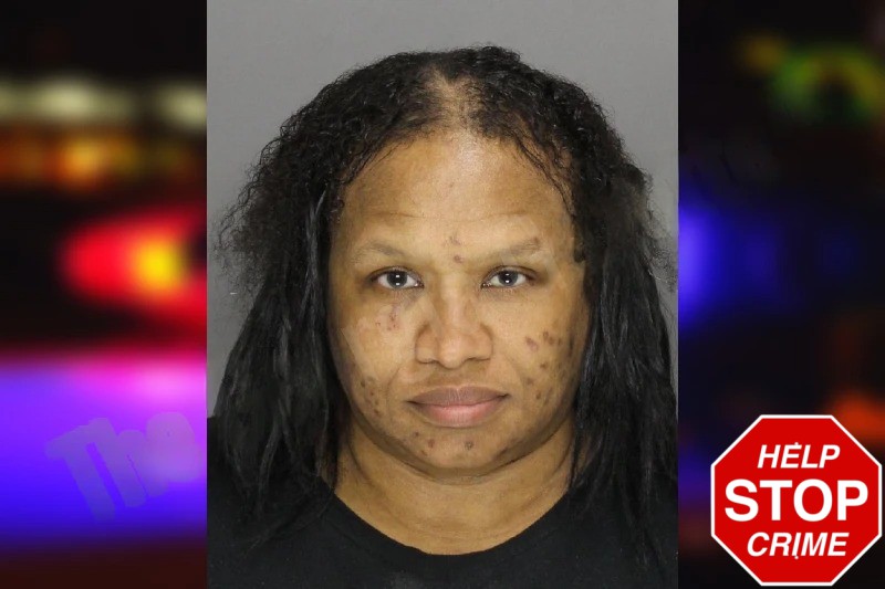 Reneaka Garrett mugshot – Cobb County , Georgia Reneaka Garrett mugshot