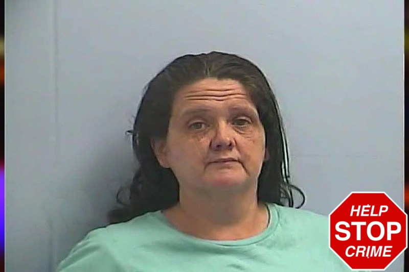 Rhonda McCulloch-Migdadi mugshot – Dawson County , Georgia Rhonda McCulloch-Migdadi mugshot