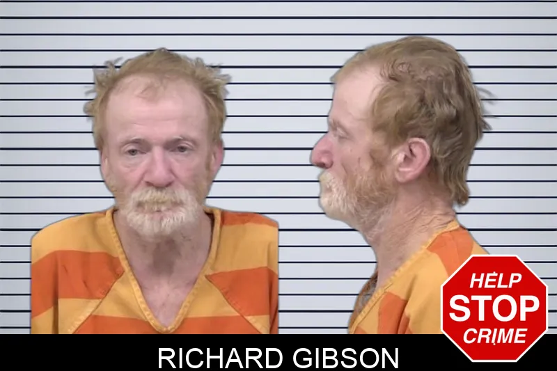 Richard Gibson mugshot – Paulding County , Georgia Richard Gibson mugshot