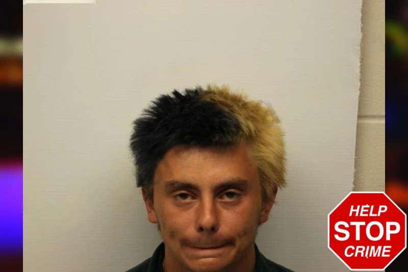 Riley Williams Mugshots