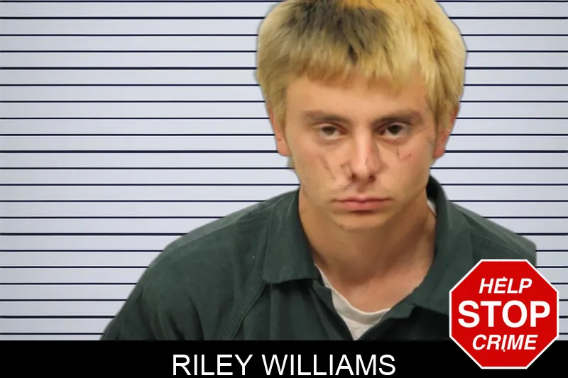 Riley Williams Mugshots