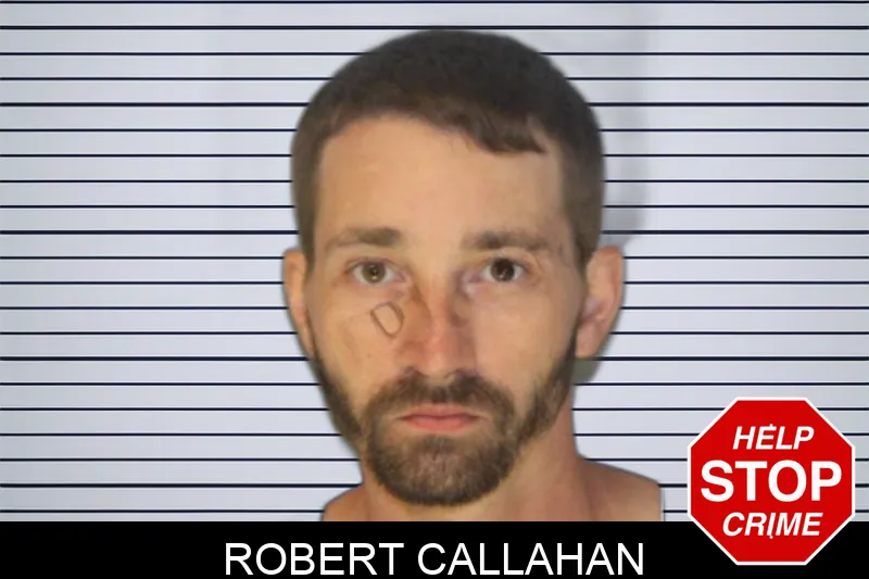 Robert Callahan Mugshots