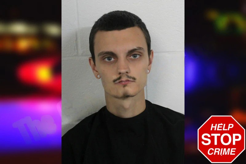 Robert Gowan Mugshots