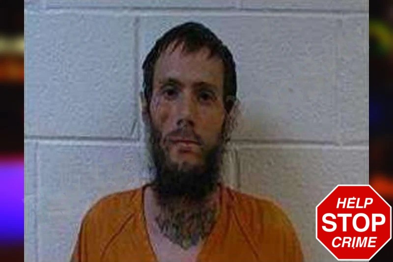 Robert Stout Mugshots