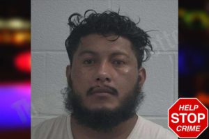 Roberto Villafane-Ortiz mugshot