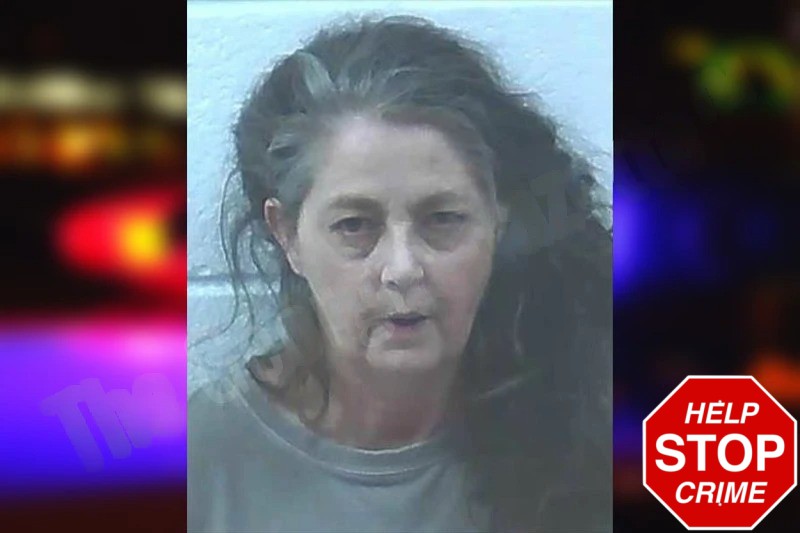 Robin Davidson Mugshots