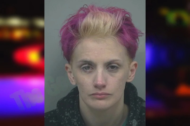 Robin Sams mugshot – Gwinnett County , Georgia Robin Sams mugshot