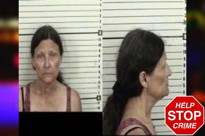 Robin Shelton Mugshots