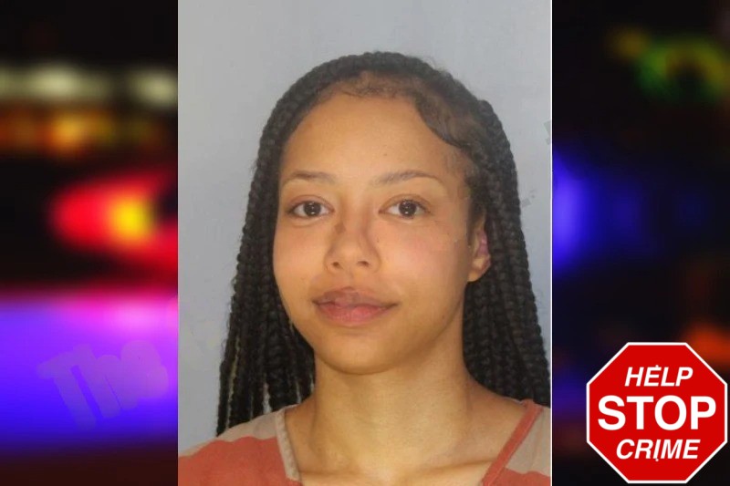 Rockelle Robinson mugshot – Hall County , Georgia Rockelle Robinson mugshot