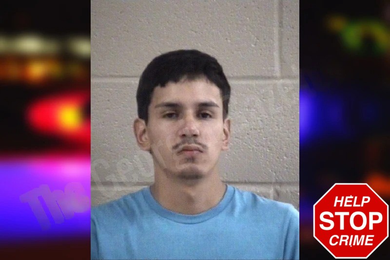 Rolando Ramirez mugshot