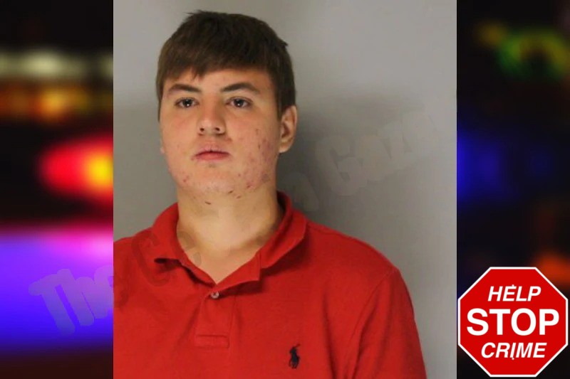 Roman Golub Mugshots