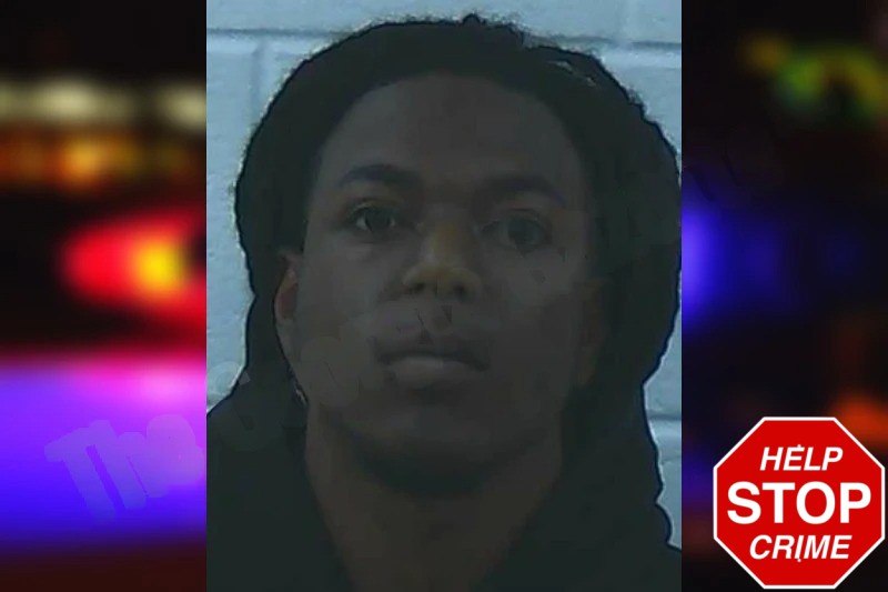 Ronald Levi Mugshots