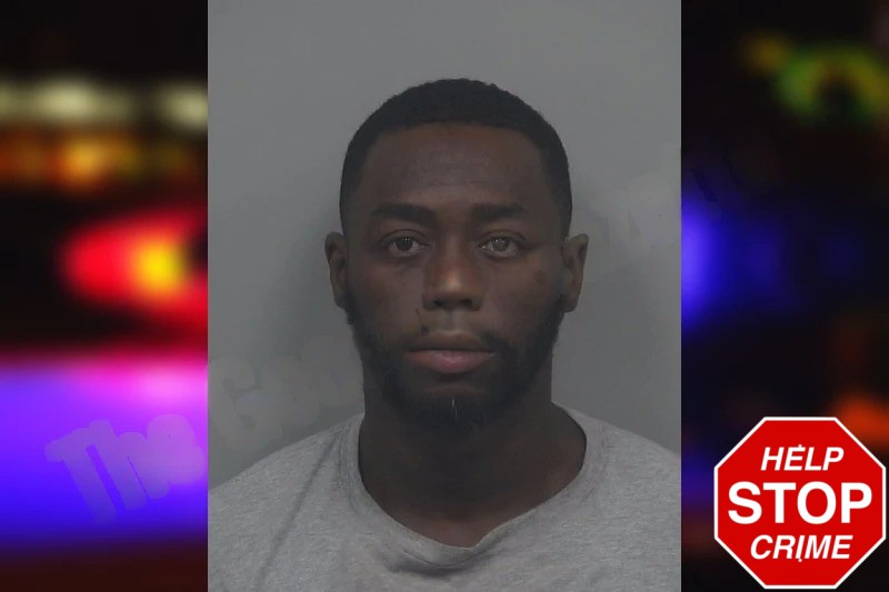 Ronnie Livingston mugshot