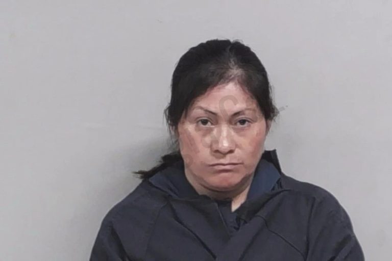 Rosa Gomez mugshot – Lowndes County , Georgia Rosa Gomez