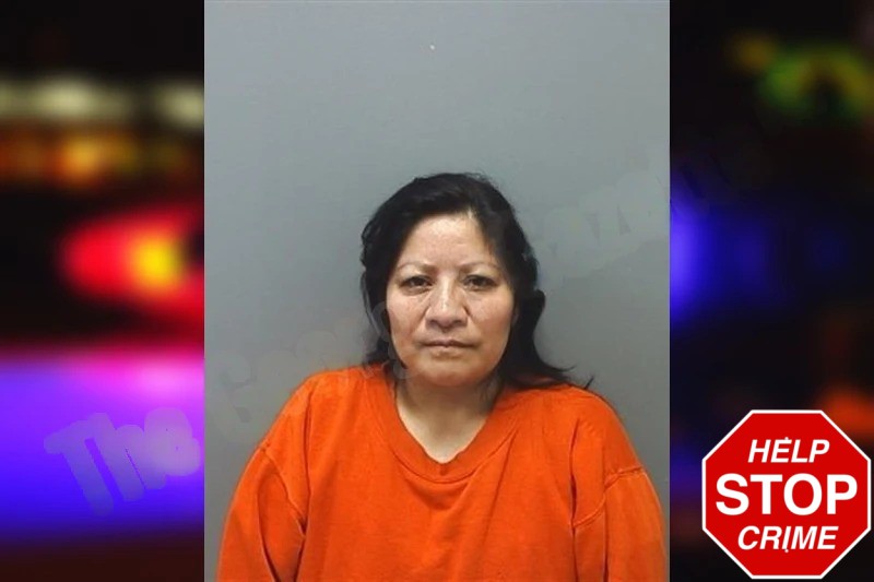 Rosa Siguantay Vicente Mugshots