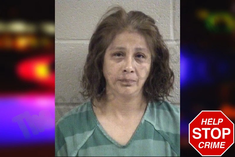 Rosalinda Torres Mugshots