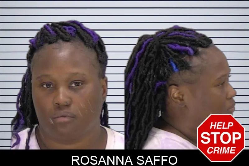 Rosanna Saffo Mugshots