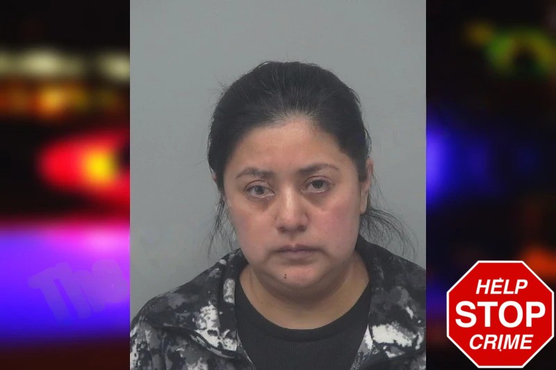 Roxana Pu Tiguila mugshot