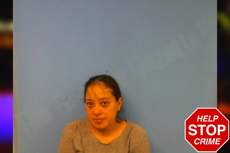 Roylin Gomez mugshot