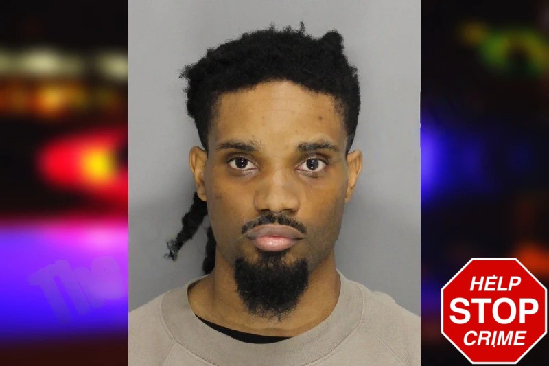 Rudy Lamerique mugshot – Cobb County , Georgia Rudy Lamerique mugshot