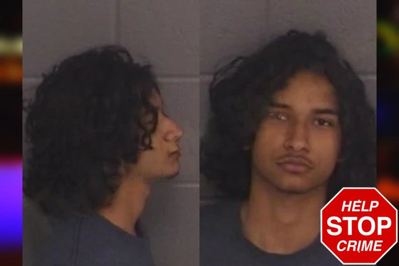 Ryan Jayesinghe Mugshots