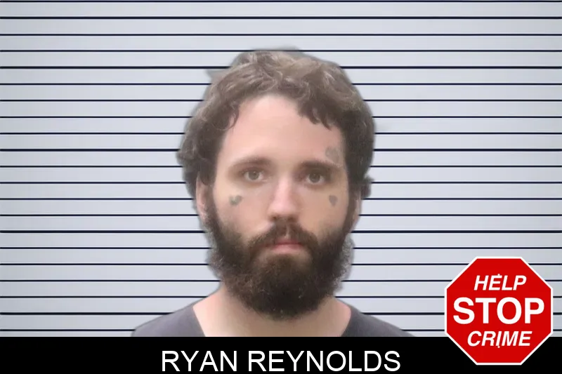 Ryan Reynolds Mugshots