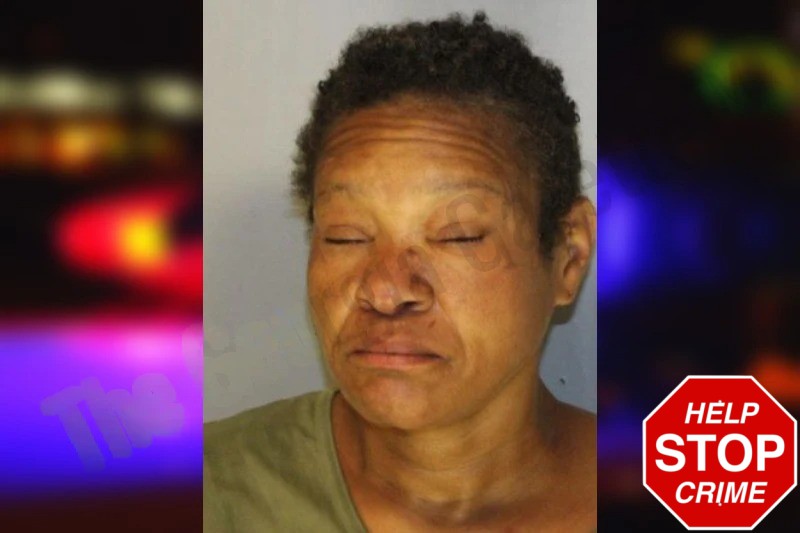 Sabine Barnett Mugshots