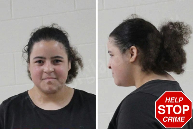 Sahara Bryant Mugshots