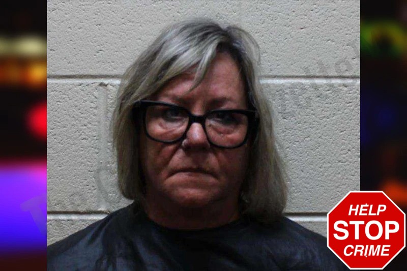 Salina Quesada Mugshots