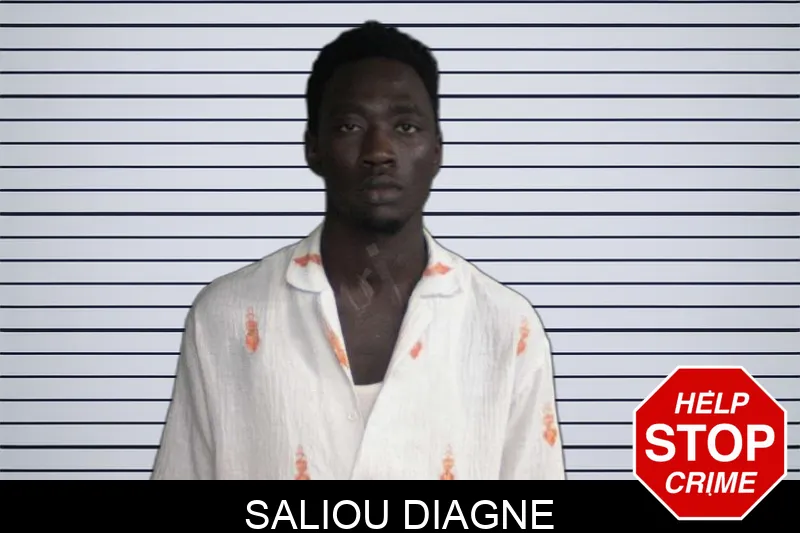 Saliou Diagne Mugshots