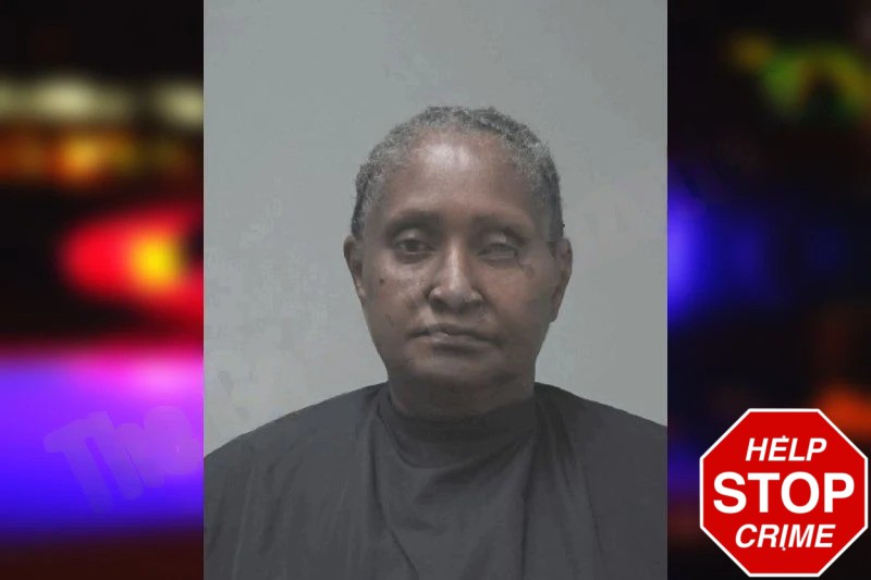 Sallie Barrison-Johnson mugshot