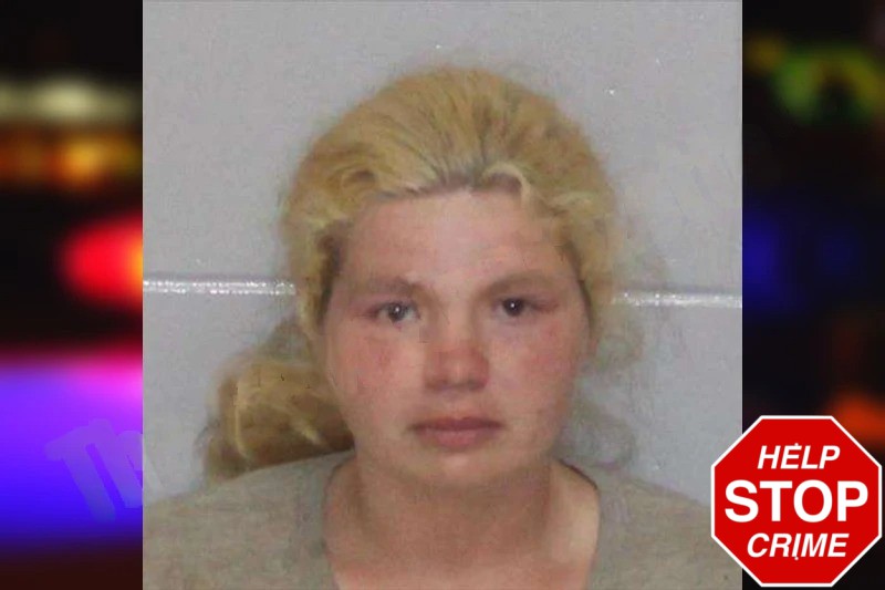 Samantha Simmons Mugshots