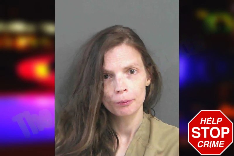 Samantha Sosebee Mugshots